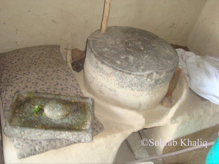 culture (31) culture (31)