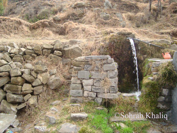 culture (112) culture (112)