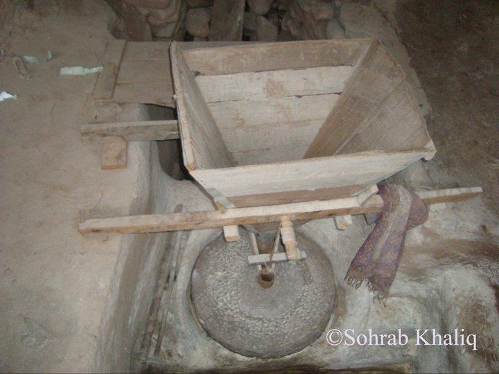 culture (120) culture (120)