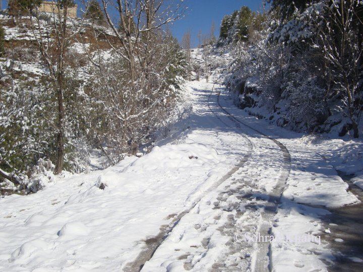 snow (15)