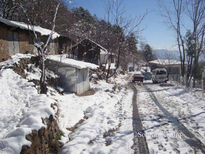 snow (16)