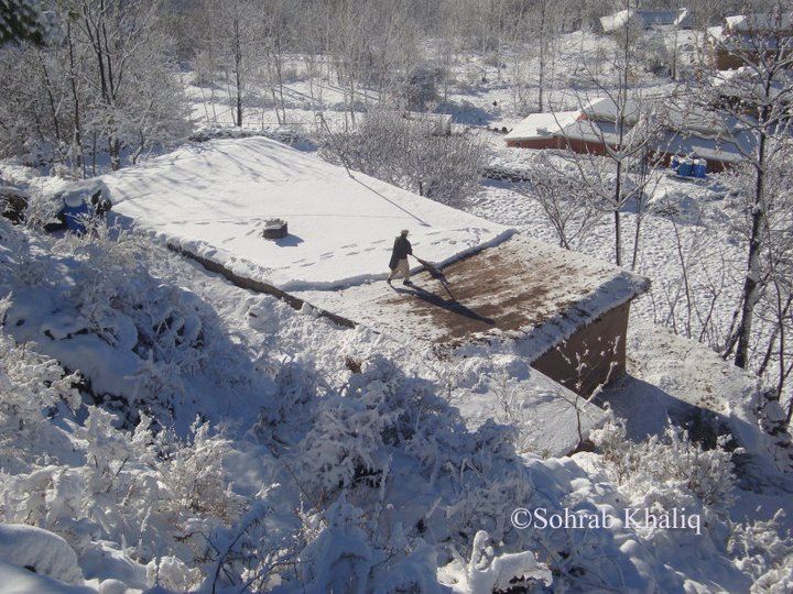 snow (17)