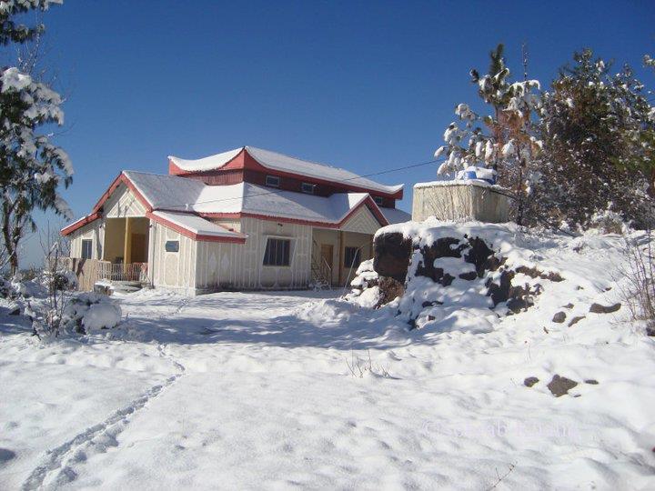 snow (2)