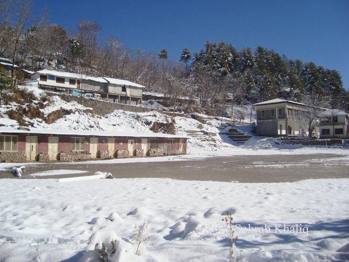 snow (6)